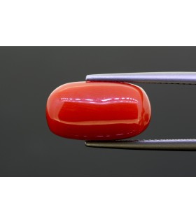 7.94 cts Natural Coral (Moonga)