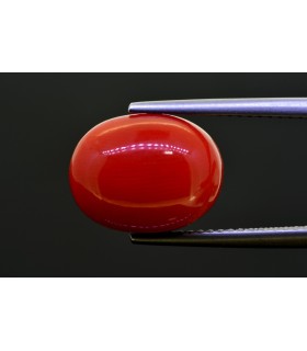 8.51 cts Natural Coral (Moonga)